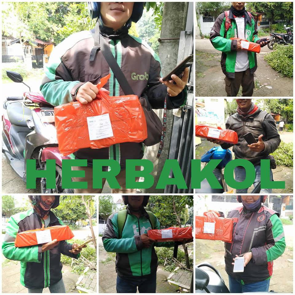 Obat Hipertensi Darah Tinggi Asam Urat Kolesterol Pengencer Darah Herbal HERBAKOL