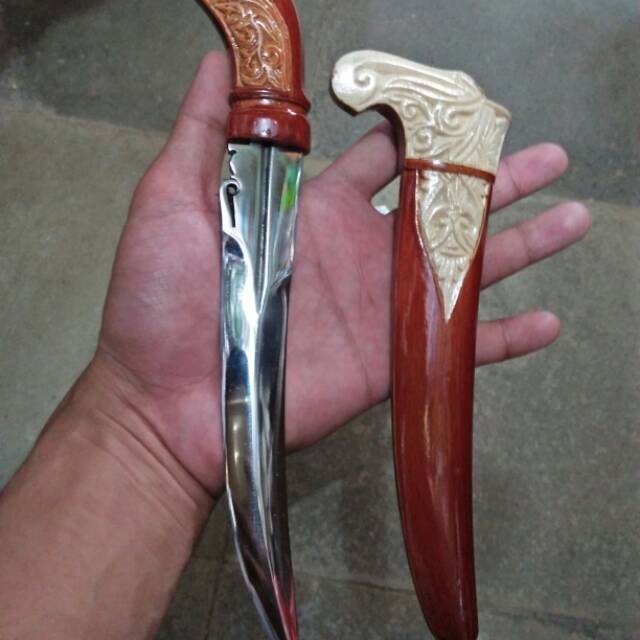 

Pisawan kalimantan