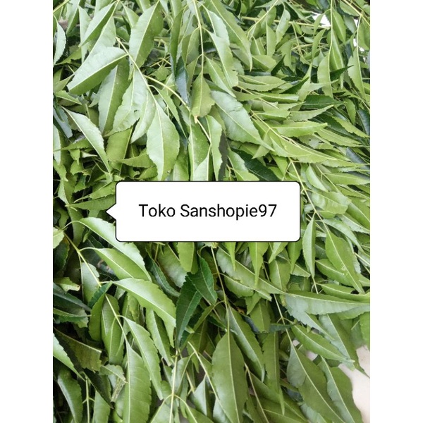 

Daun mimba atau mindi segar 1 kg