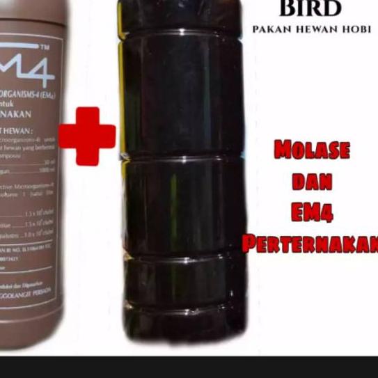 ☋ EM4 PETERNAKAN DAN MOLASE ♬