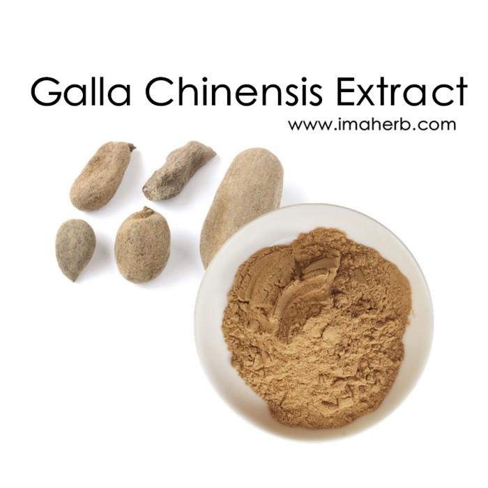

GALLA CHINENSIS EXTRACT POWDER NUTGALL CHINA BUBUK 50GR