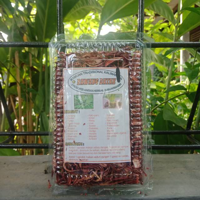 Obat tradisional bawang dayak herbal banyak khasiat