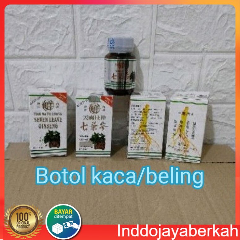 Seven Leave Ginseng Herbal Rematik Nyeri Sendi Pegal Linu Asam Urat 100% Asli Original Tian Ma Tu Ch