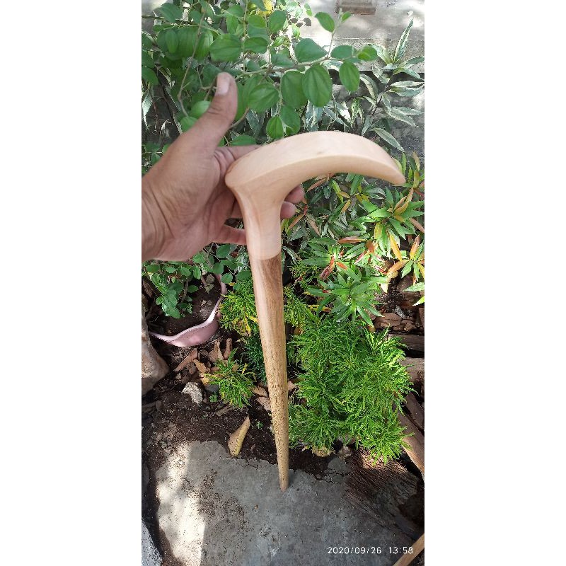 tongkat jalan kayu kelor emas kombinasi kayu Bidara arab