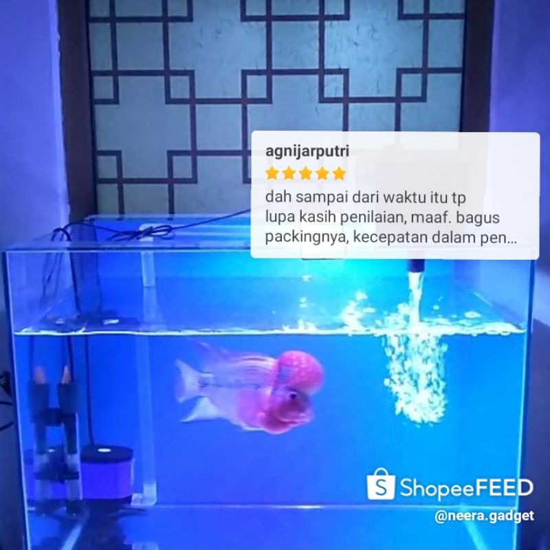 Stiker Skotlet Khusus Background Aquarium Akuarium Bahan Sticker Meteran Shopee Indonesia