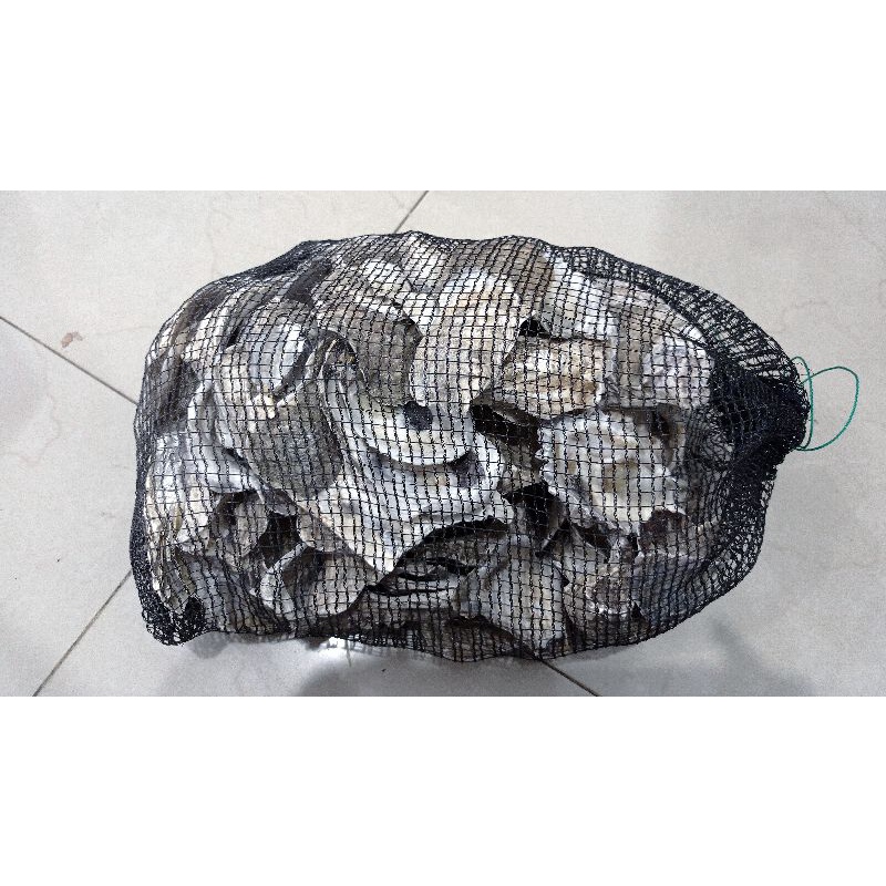 MEDIA FILTER KERANG OYSTER 2KG