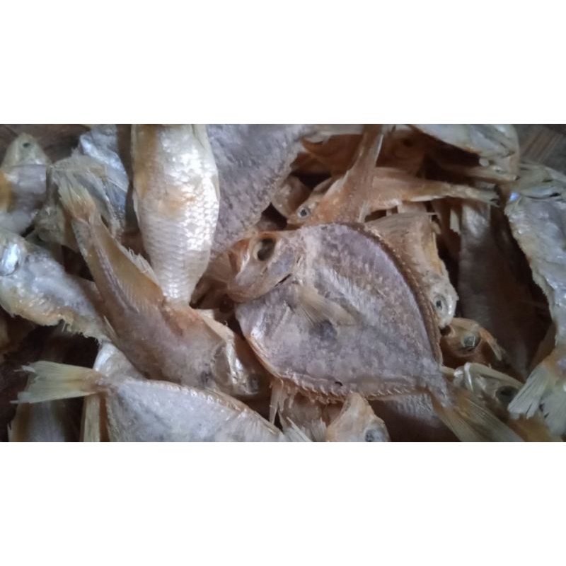 

ikan asin mentah 1 kg