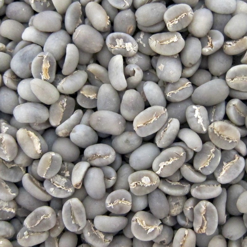 Kopi Arabika TORAJA Greenbean Coffee Harga Per Kg