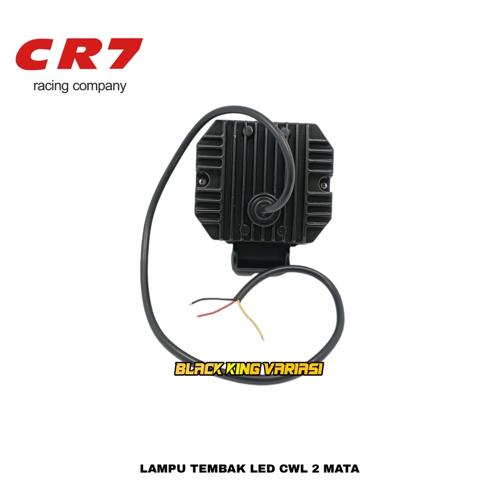 Lampu tembak sorot LED CWL 2 mata lensa 4D 20watt cree Model AE Kotak