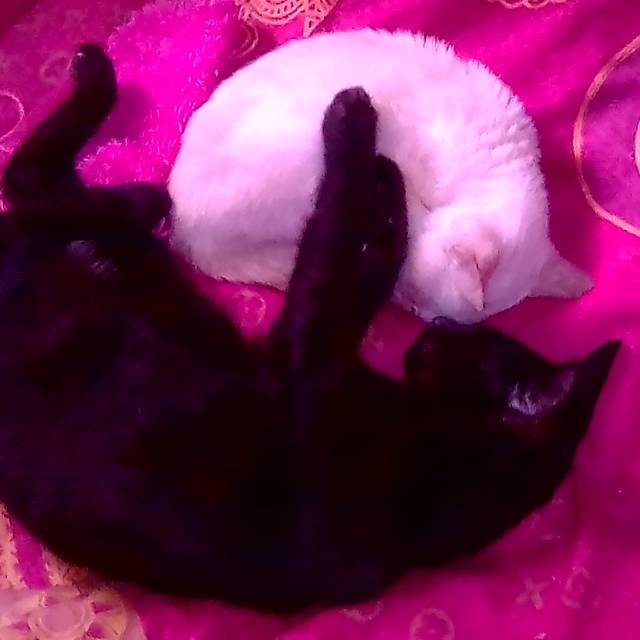 tiaraninazwa_7172.eh0z6ug3cl