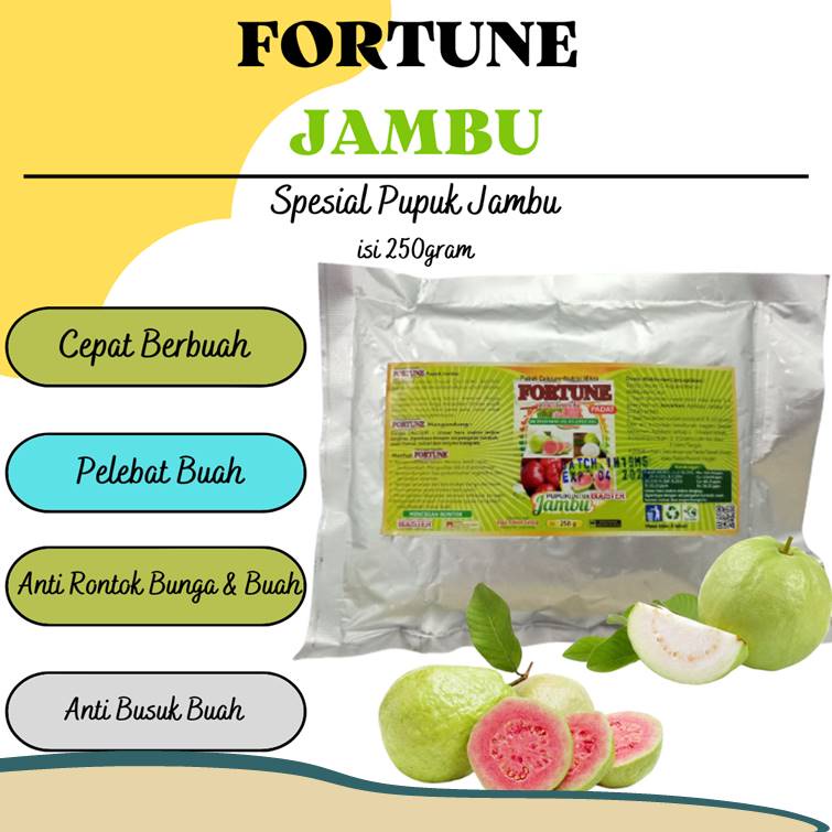 Pupuk Jambu Air, Pupuk Booster Jambu Kristal, Pupuk Jambu Cepat Berbuah, Pupuk Buah Terbaik Perangsa
