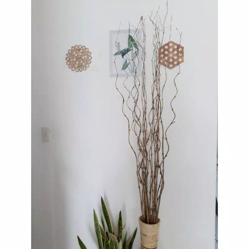 BAMBU ULIR NATURAL BAMBU ULIR CENDANI BAMBU ULIR POLOS HIASAN BAMBU ULIR