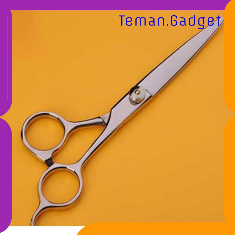 TG-FE261 BRAINBOW GUNTING RAMBUT FULL STAINLESS STEEL MODEL FLAT CUT - BHT002