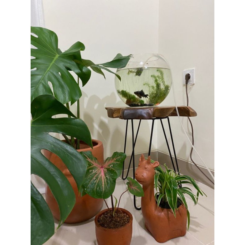 Meja Akar Jati Furniture Jepara