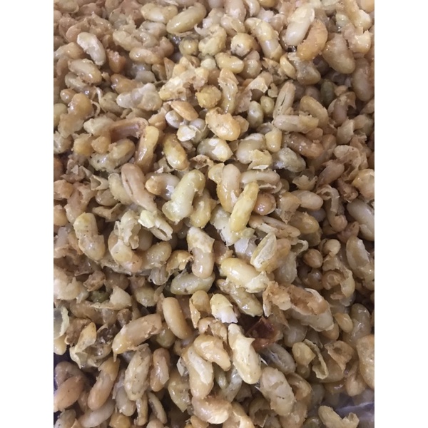 

kacang goreng padang 250 gr