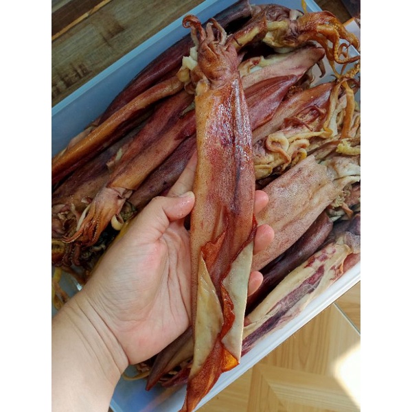 

cumi sotong asin 500gr