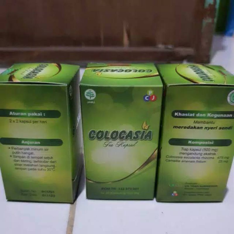 colocasia asli obat sendi