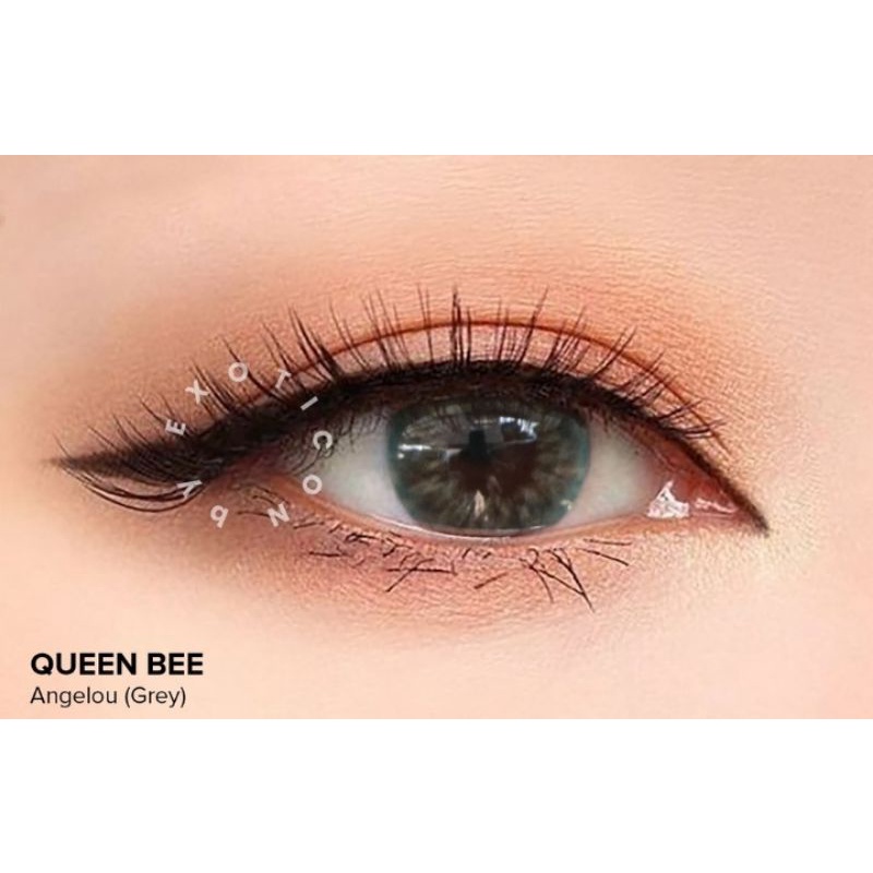 Softlens Queen Bee