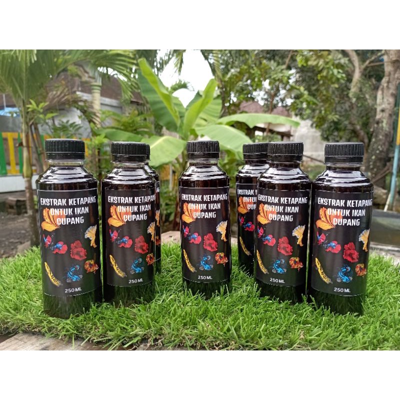 EXTRAK KETAPANG LAUT 250ML