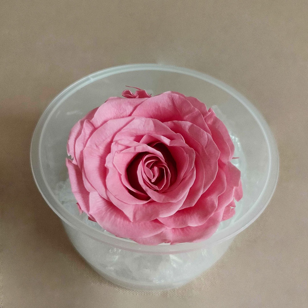 Artificial Flower Preserved Rose  Bunga Kering  Dekorasi Hias Pajangan