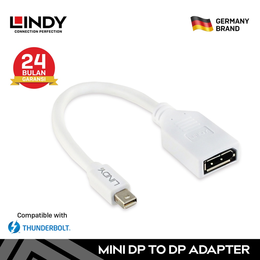 LINDY 20CM Mini DisplayPort DP Male to Display Port Adapter Cable