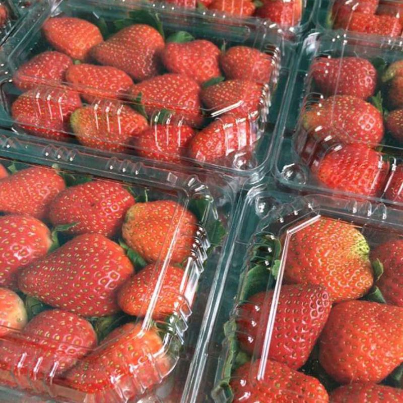 

strawberry 1 pack