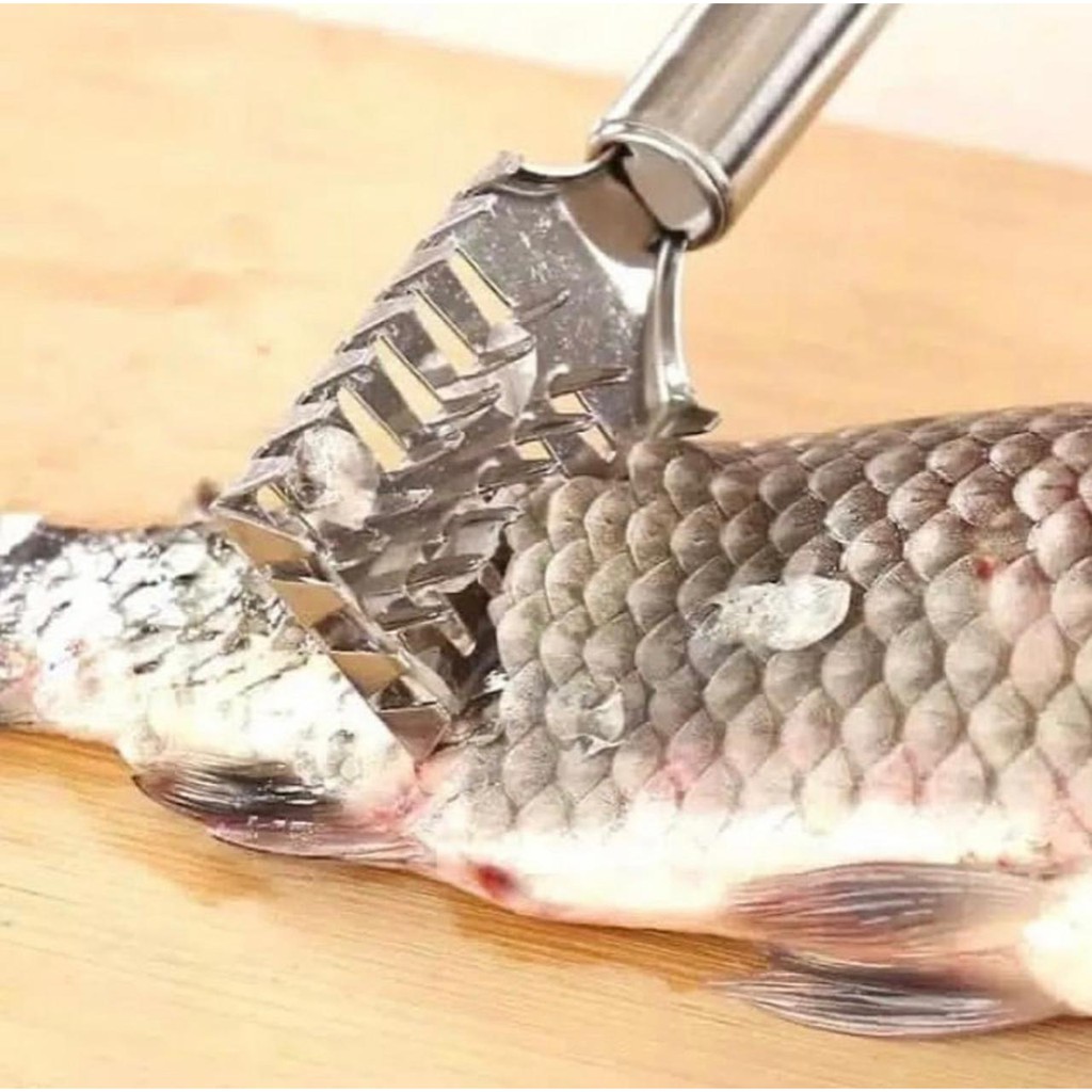 OS Alat Pembersih Pengupas Sisik Ikan Stainless Steel Anti Karat /Kupas /Serutan /Import