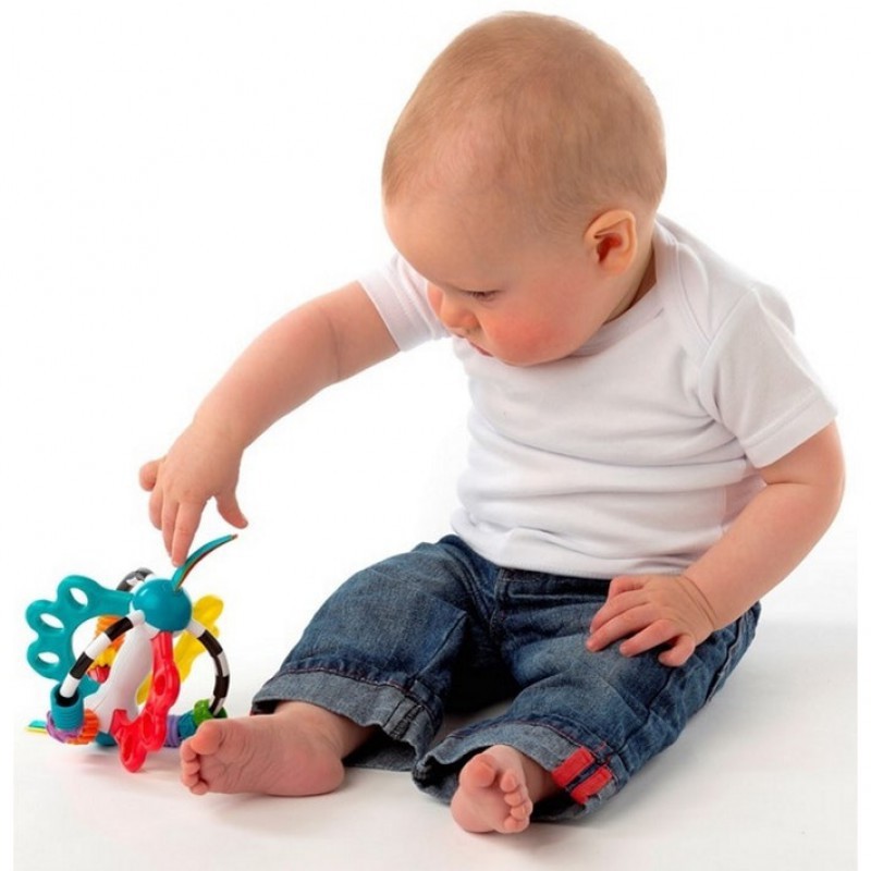 Playgro Explor-a Ball Mainan Rattle Bayi