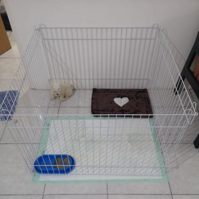 KANDANG PAGAR  KUCING ANJING 60x50 Jumbo Besar Murah pagar tanaman hewan besi kelinci peliharaan-4