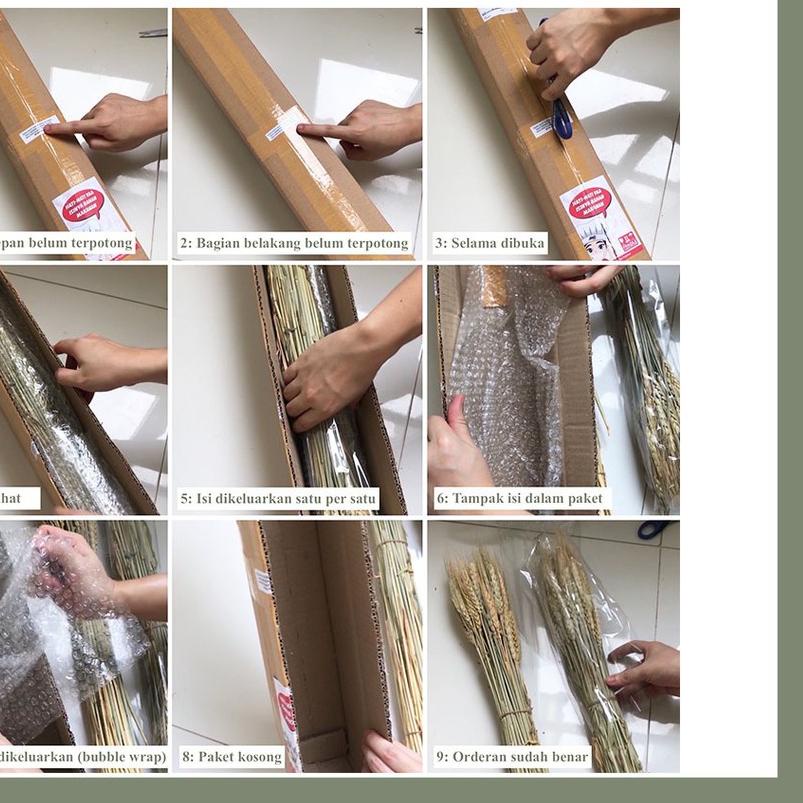 Dried Flower Wheat Bunga Kering Gandum Padi Triticale Impor Bunga Dekorasi Hiasan Rumah Buket Dry
