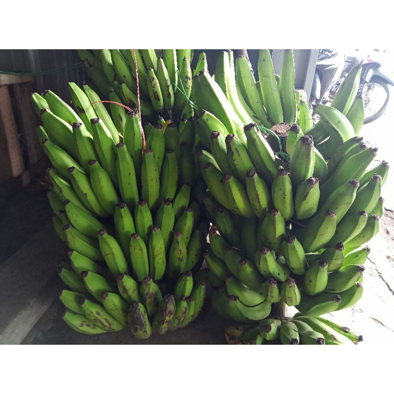 

pisang ambon