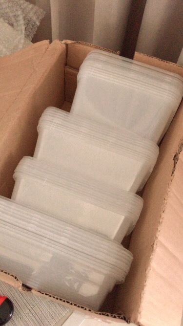 Murah Food Container Pp Thinwall Rect Kotak Makan Plastik Persegi Panjang