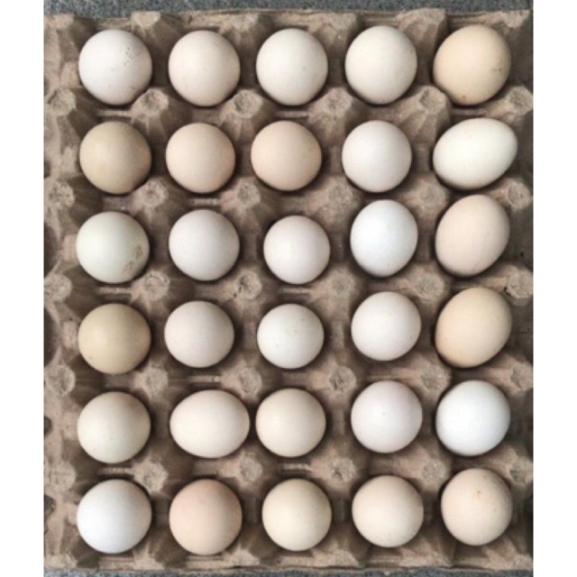 

Telur ayam kampung kuning 30 butir