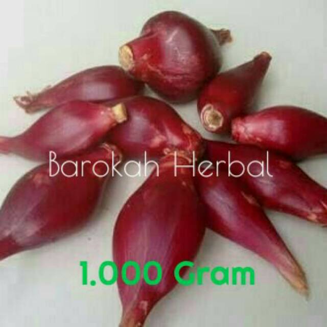 

Bawang Dayak Segar 1.000 Gram / 1 Kg / COD / Bayar di Tempat