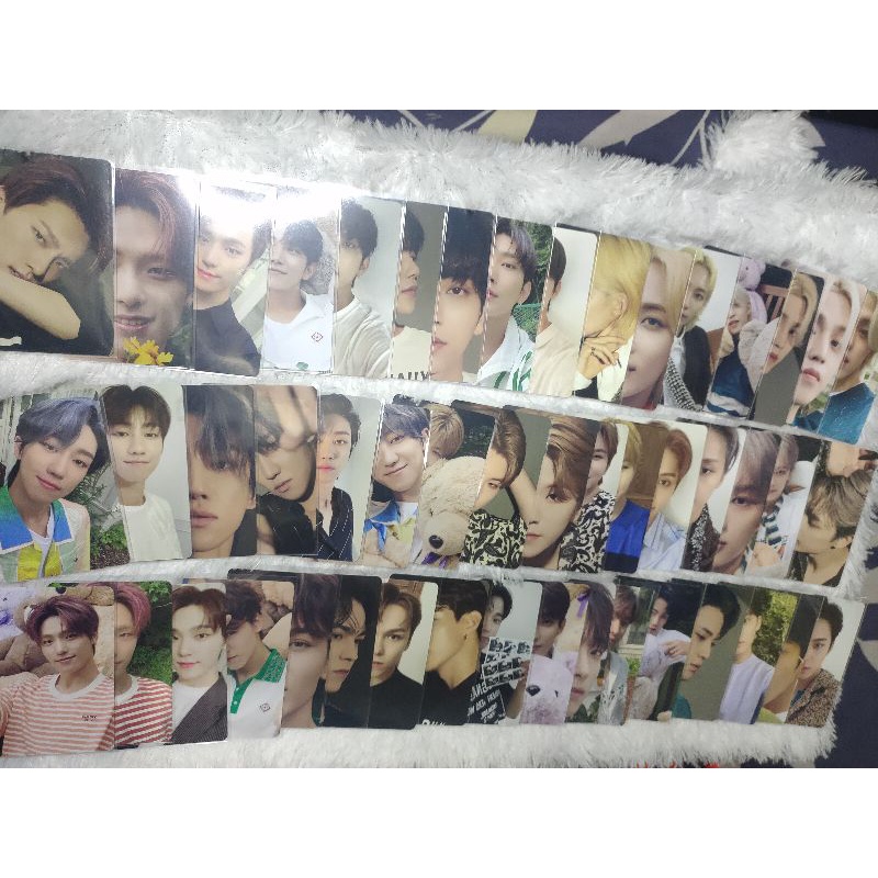 PC DINO SEVENTEEN OFFICIAL