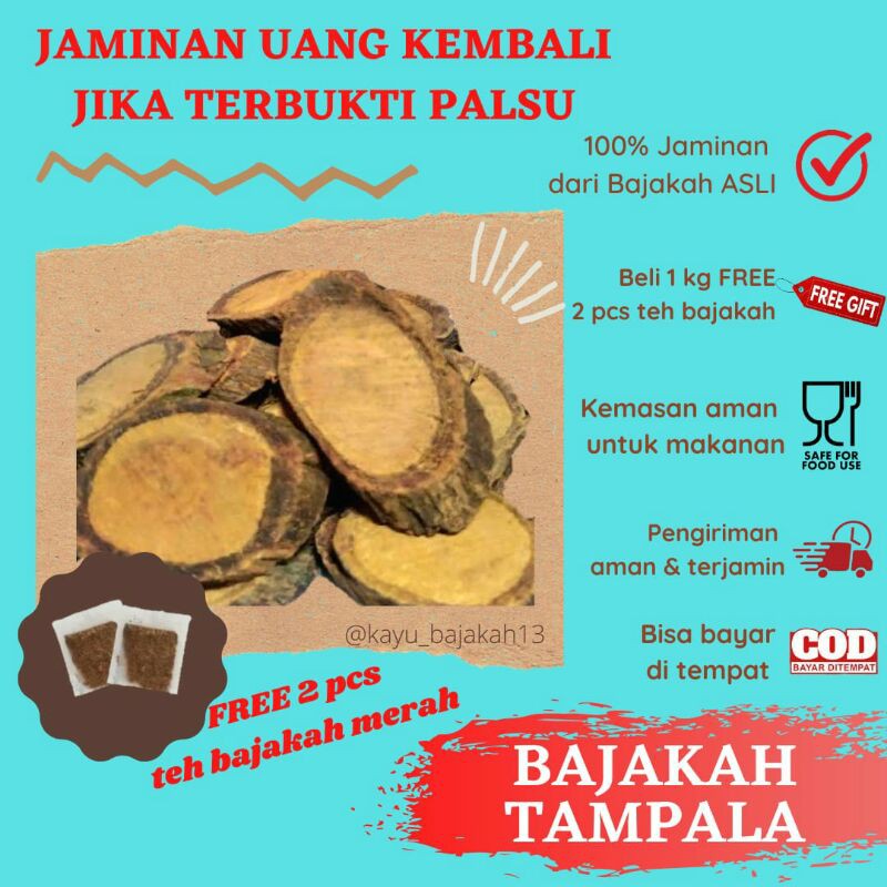 

KAYU BAJAKAH MERAH KALALAWIT TAMPALA ASLI KALIMANTAN OBAT HERBAL PENYAKIT KANKER TUMOR KISTA LIVER