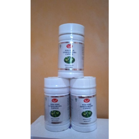 OBAT PINTAR GINKGO BILOBA 30 TABLET