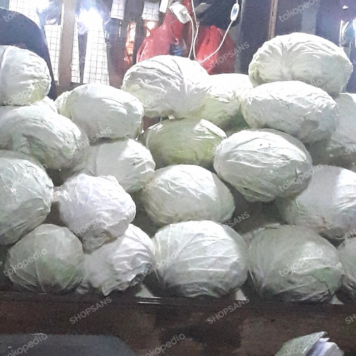 

Sayur Kol Segar / Kubis putih Segar - 1 kg