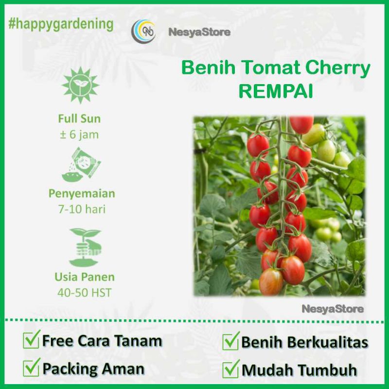 40 Benih Biji Tomat Cerry Cherry Rempai Dataran Rendah - Tinggi