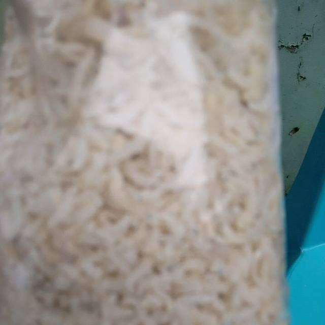 

Teri nasi