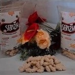 

Keciput