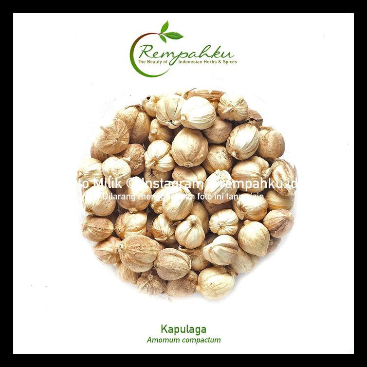 

Sale Rempahku - Kapulaga Jawa 100Gr Whole Javanese Cardamom Buah Kapulaga