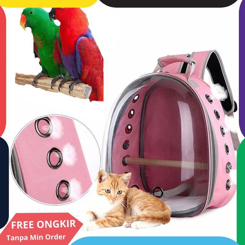 Hewan Peliharaan Burung Kakatua Pembawa Tas Ransel Perjalanan