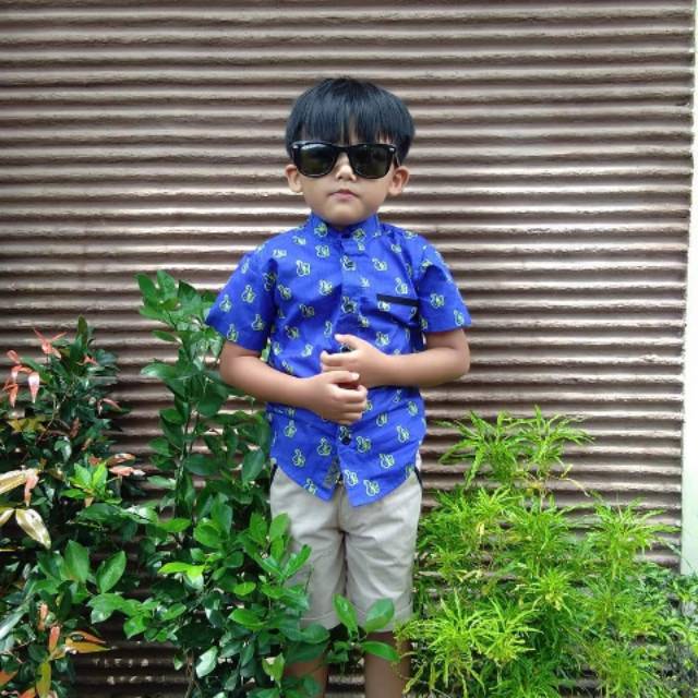 Kemeja anak laki laki baju anak laki laki kemeja anak keren  kemeja anak motif lucu warna biru