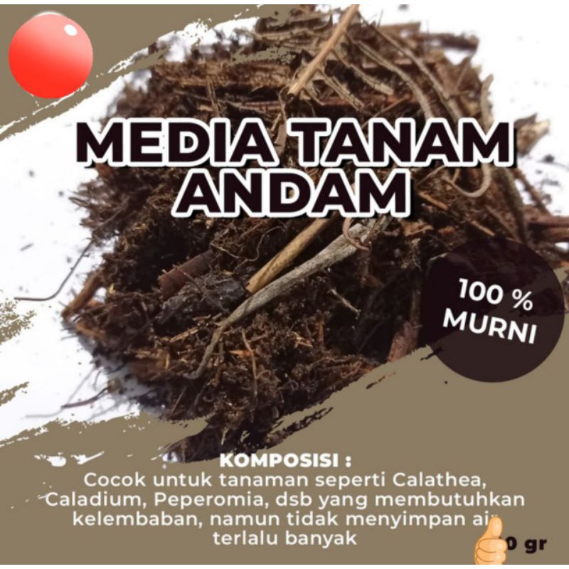 ANDAM Media Tanam