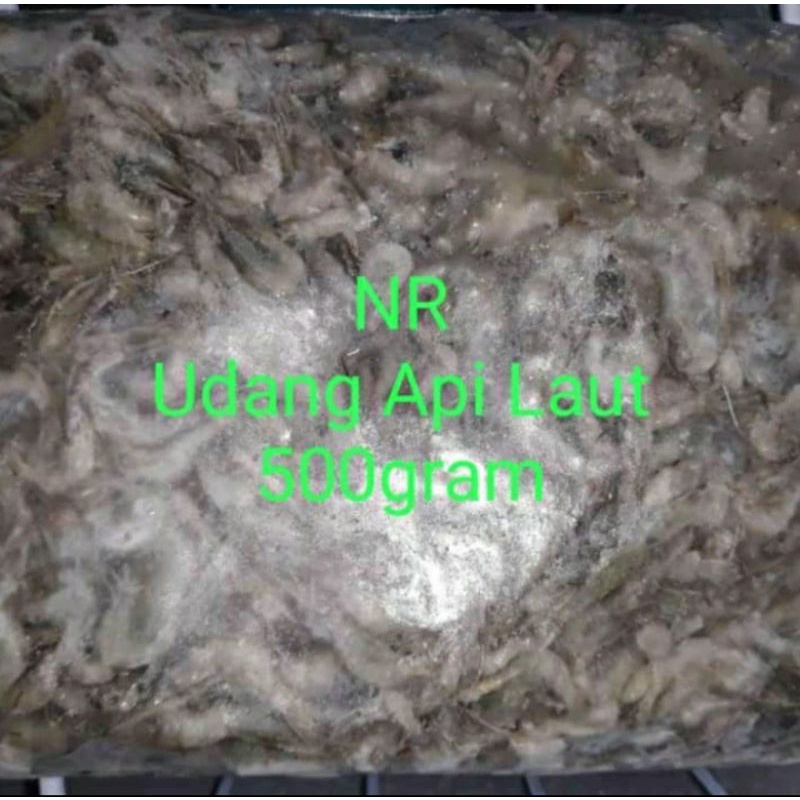 

Udang api size kecil