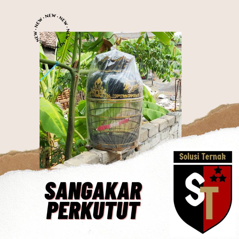 Sangkar Kurungan Perkutut Fiber