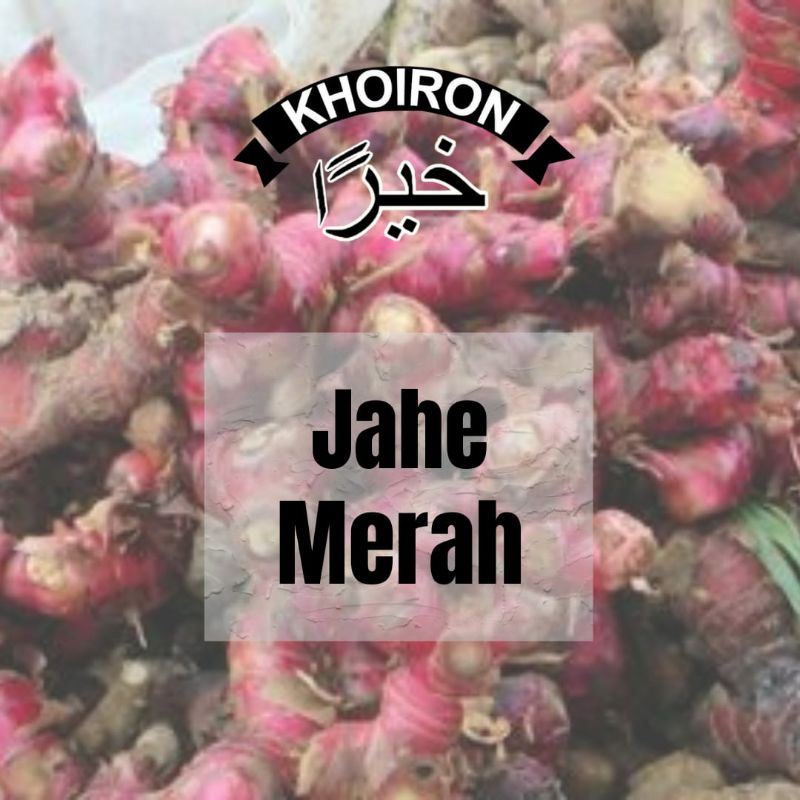 

JAHE MERAH JAHE EMPRIT JAHE GAJAH 1 kg