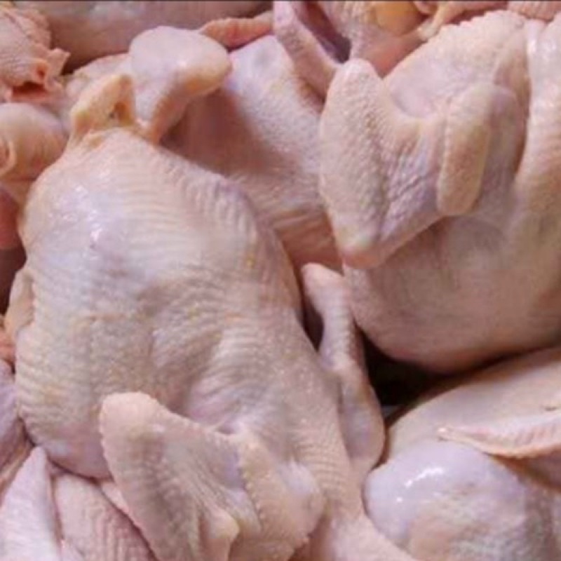 

AYAM MERAH (1,3-1,5 kg)