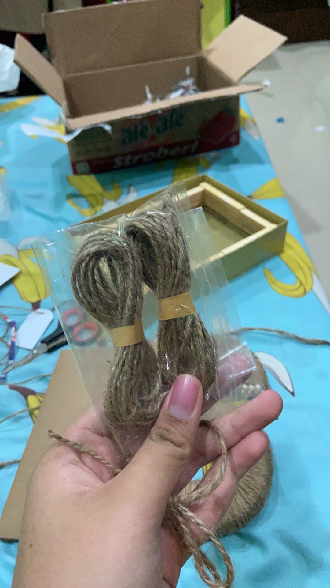 Tali Rami ( 3 Meter ) / Tali Goni / Tali Rami Murah / Tali Penggantung Foto / 2 Ply / 3 M